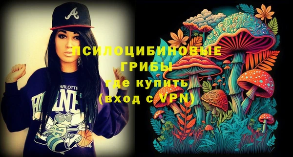 гидра Бугульма