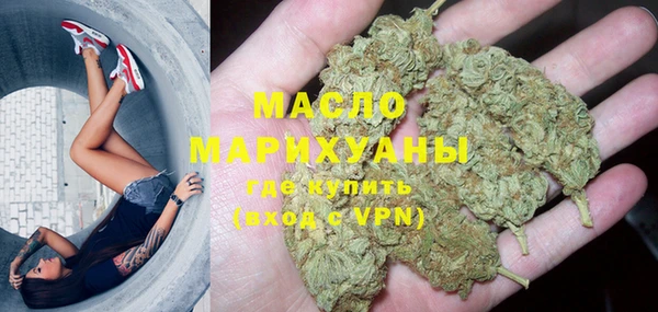 гашик Верея
